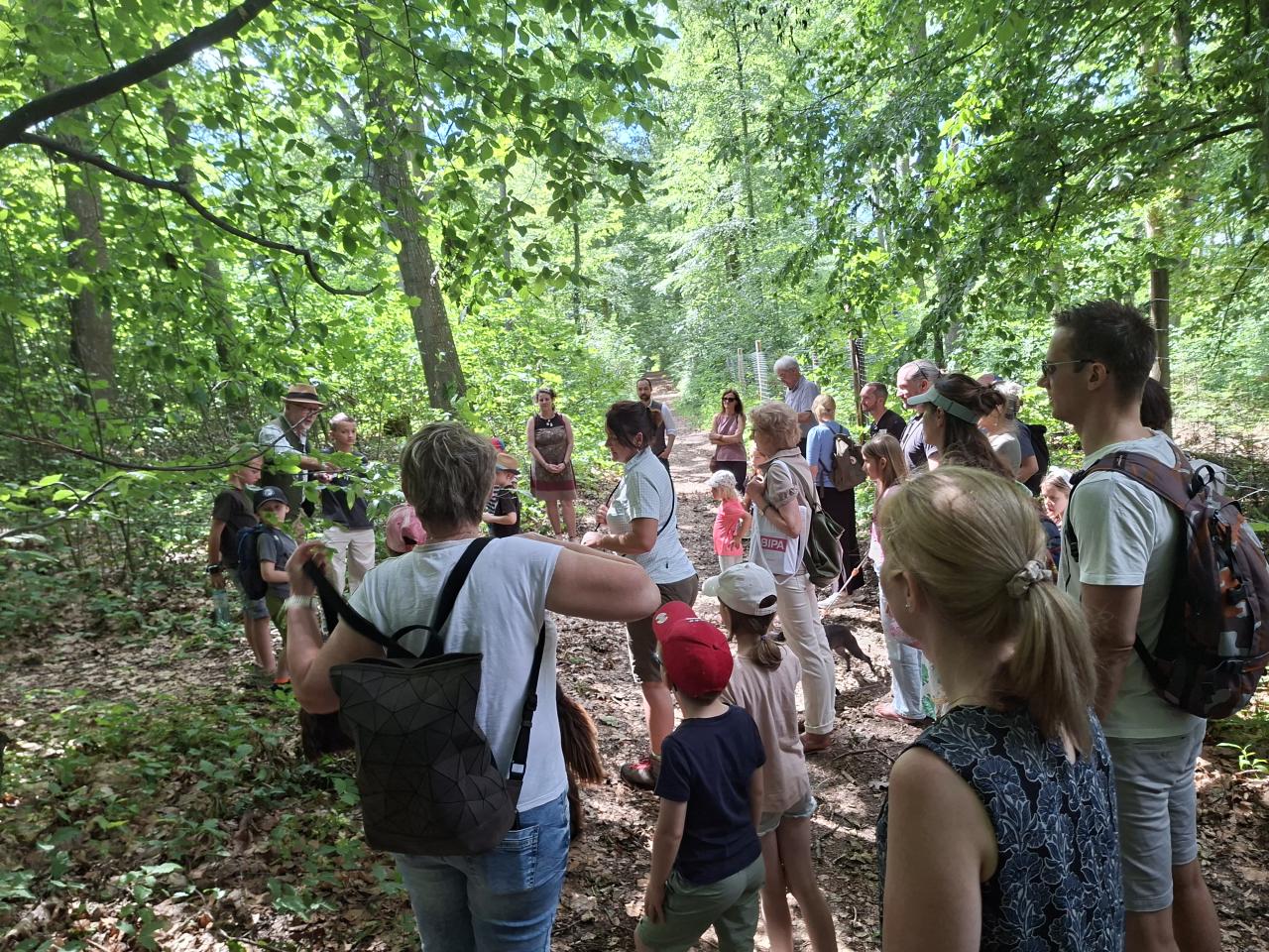 Walderkundung